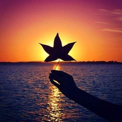 索尼拟以约10亿美元向TCL出售家庭娱乐业务的多数股权